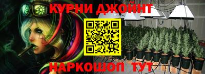 шишки Балашиха