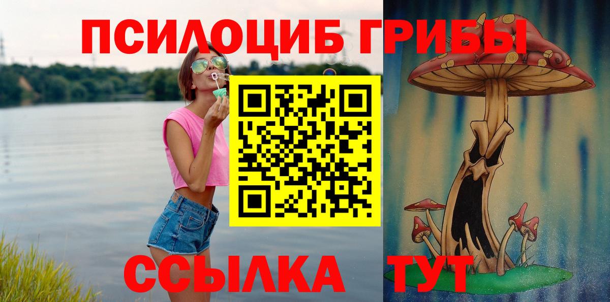 Галлюциногенные грибы Psilocybe  Вход с VPN  Грязи 