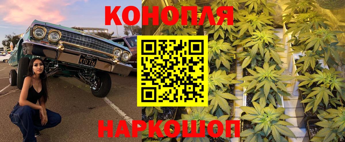 Каннабис конопля  Вход с VPN  Каннабис Ganja  Грязи  Марихуана White Widow 